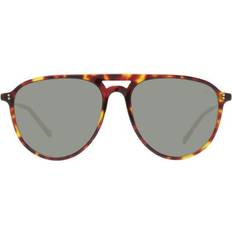 Hackett London Hackett HSB84314357 Brown