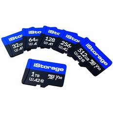 iStorage IS-MSD-1-256 flashminne 256 GB MicroSDXC UHS-III Klass 10