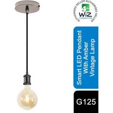 WiZ Lámparas LED WiZ LED Pendant with G125 Lamp WiFi