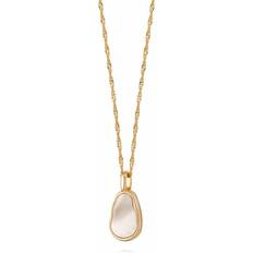 Mother of Pearl Necklaces Daisy Isla Necklace - Gold/White