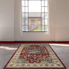 Da Vinci Rugs 57559 1494
