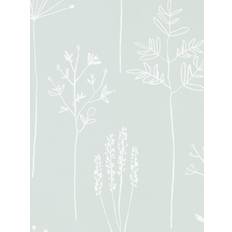 Stipa 112020