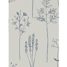 Stipa 112019
