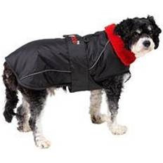 Medium Dog Black &