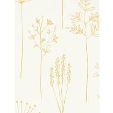 Stipa 112021