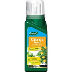 Citrus Feed Concentrate