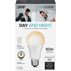 Incandescent Lamps FEIT Electric A19 Day and Night LED Bulb