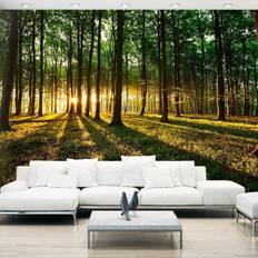 Artgeist fototapet Mystisk Morgen 350x245