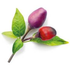 Chili gødning Click and Grow Smart Garden Refill 3-pack Plantenæring