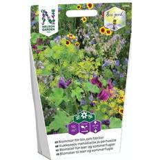 Nelson Garden Blommor för Bin Och Fjärilar