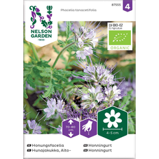 Honningurt Nelson Garden Honungsfacelia, blå, Organic Blomsterfrø