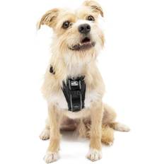 Pets PetSafe Kurgo Dog Harness Small No Pull Harness Front Clip Feature