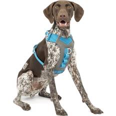 Kurgo Grey/Blue Journey Air Harness