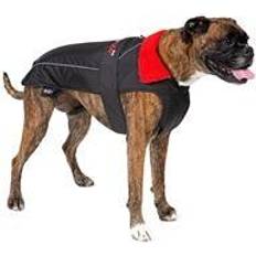 Large Dog - Black & Red