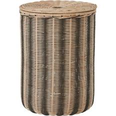 Striped (L300487)