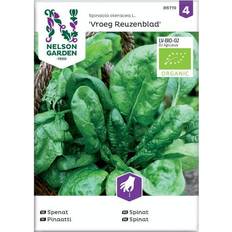 Nelson Garden Frø Nelson Garden Spenat, Vroeg Reuzenblad, Organic Blomsterfrø