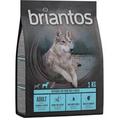 Adult Salmon & Potato Grain Free 4x1kg