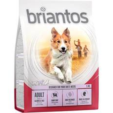 briantos Adult Salmon & Rice 4x1kg