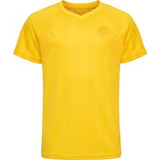 Kid's Denmark Goalkeeper Shirt WC 2022 - Sports Yellow 