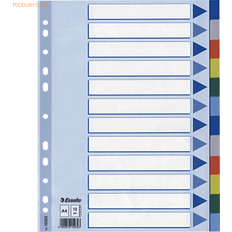 Multicolore Raccoglitori Esselte Divisore Intercalare Polipropilene A4 12 Tasti 15262