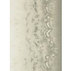 Clarke & Clarke Non woven tapeter Clarke & Clarke Disperse Pearl W0149/02