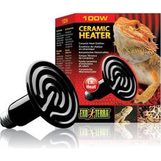 Exo Terra Ampoule Ceramic Heater 100W