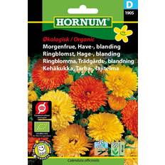 Hornum ØKO, Morgenfrue, blan. Blomsterfrø