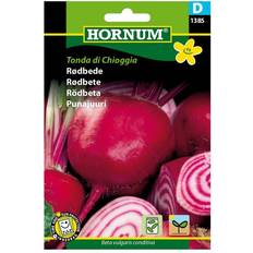 Rødbede frø Hornum Rødbede Frø, Tonda di Chioggia Grøntsagsfrø