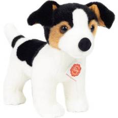 Jack Russell Terrier hvalp, 28 cm