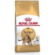 Royal Canin Hundefoder - Katte Kæledyr Royal Canin Bengal Adult Kattefoder