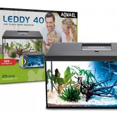 Aquael leddy Aquael 122728 akvarieset LEDDY PLUS RE