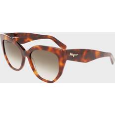 Ferragamo Solbriller SF 1061S - Tortoise