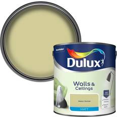 Dulux Black - Wall Paints Dulux Standard Melon Sorbet Matt Ceiling Paint, Wall Paint Black, Blue