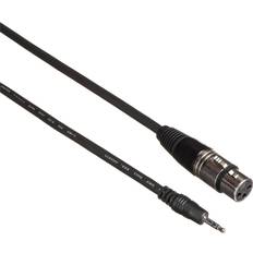 Comprehensive XLR Jack to