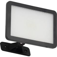 Coast Work Light Torches Coast FILEY LED Slimline Floodlight 30W Daylight