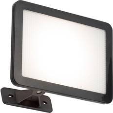 Coast Work Light Torches Coast FILEY LED Slimline Floodlight 20W Daylight