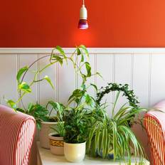 Luces para plantas VENSO EcoSolutions E501 100 L'mpara LED E27 6 W