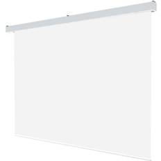 Grandview Large-Stage 1:1 Motor Screen