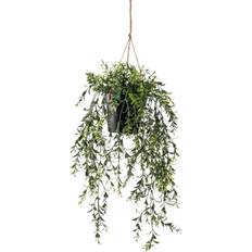 Decoratieve items Emerald Artificial Boxwood Hanging Flora Plant