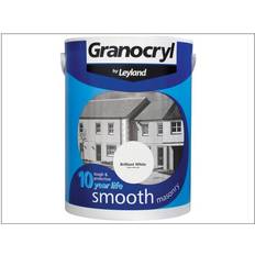 Smooth Exterior Masonry Paint White