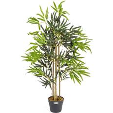 Bamboo