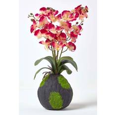 Artificial orchid plant Homescapes Cream Phalaenopsis Artificial Orchid with Natural Base, Pink & Cream Artificial Plant