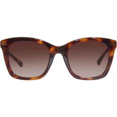 Calvin Klein Solglasögon Calvin Klein CK 21506S 240