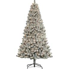 Prelit 6 ft artificial christmas tree Puleo International 6 ft. Pre-Lit Flocked Virginia Pine Christmas Tree