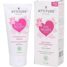 Dental Care Attitude Baby Leaves Fluoride Free Gel Training Strawberry