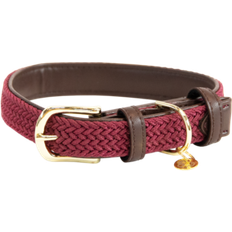 Plaited Nylon Dog Collar Bordeaux
