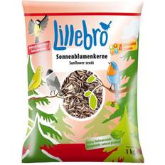 1 kg Solsikkefrø