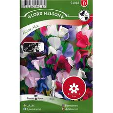 Krukker, Planter & Dyrkning Nelson Garden Luktärt 'Bijou Mix' Blomsterfrø