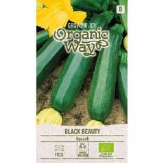 Grönsaksfröer på rea Organic Way Fröer Squash