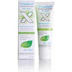 Xylitol Xyloburst Natural Fluoride-Free Xylitol Premium Toothpaste with Xylitol CoQ10 Cool Mint